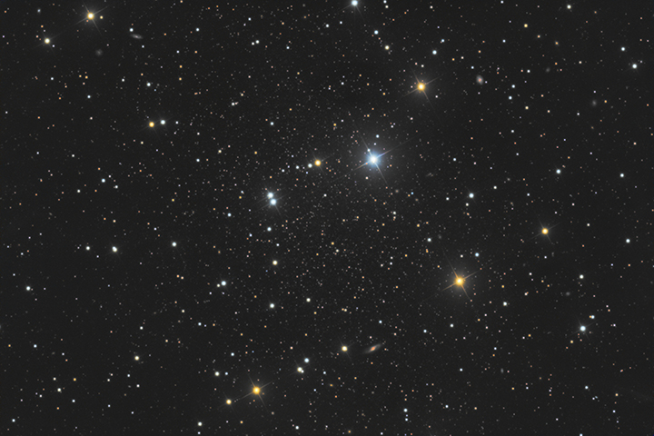 Draco Dwarf